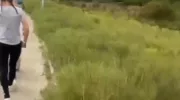 новости анапы, кипарисовую рощу, дорога, амброзия, заросли, поля