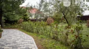 Ореховая роща, уголовного дела, новости Анапы, город (28)