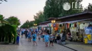 Пляжи Витязево 2025-7357