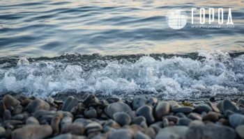 Море в Сукко и отзывы отдыха в Анапе