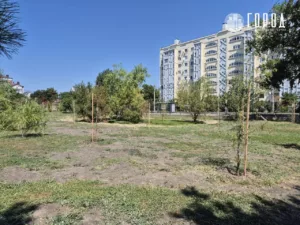 В Анапе два года благоустраивают Ореховую рощу (12)