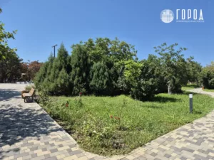 В Анапе два года благоустраивают Ореховую рощу (7)