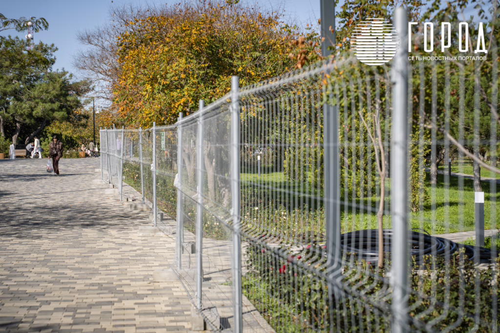 «Ореховая роща», октябрь 2025 года