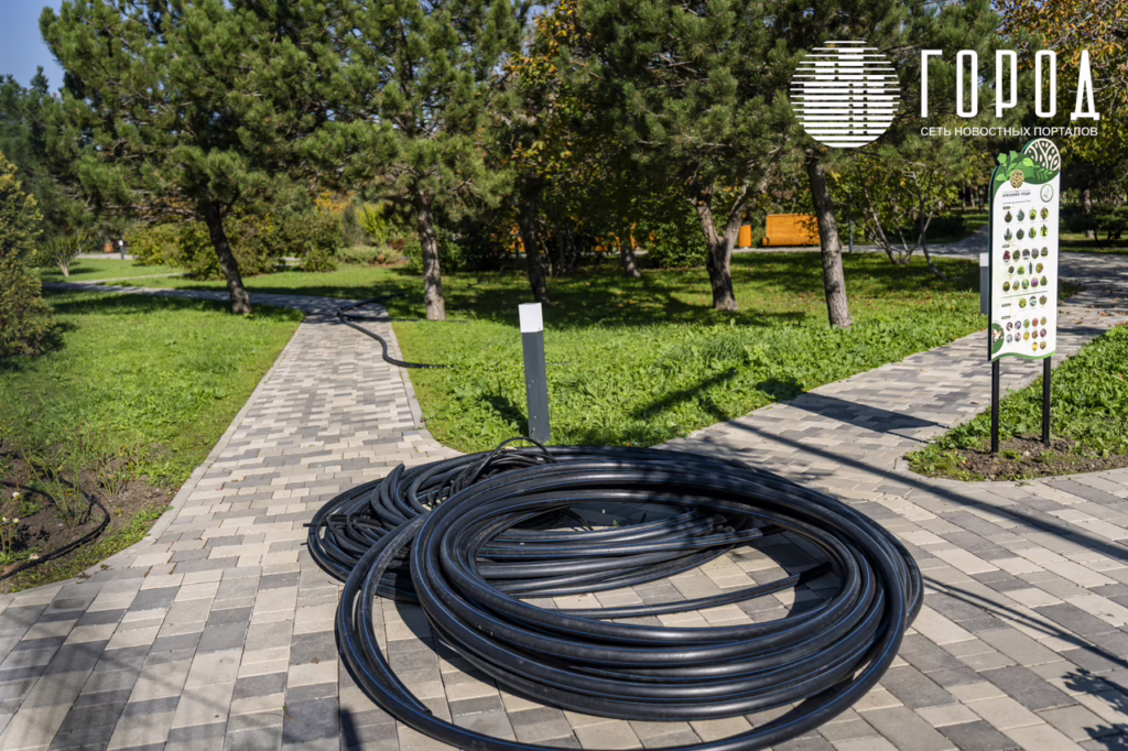 «Ореховая роща», октябрь 2025 года