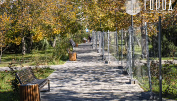 «Ореховая роща», октябрь 2025 года