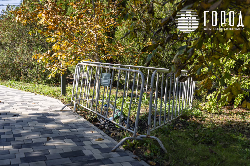 «Ореховая роща», октябрь 2025 года