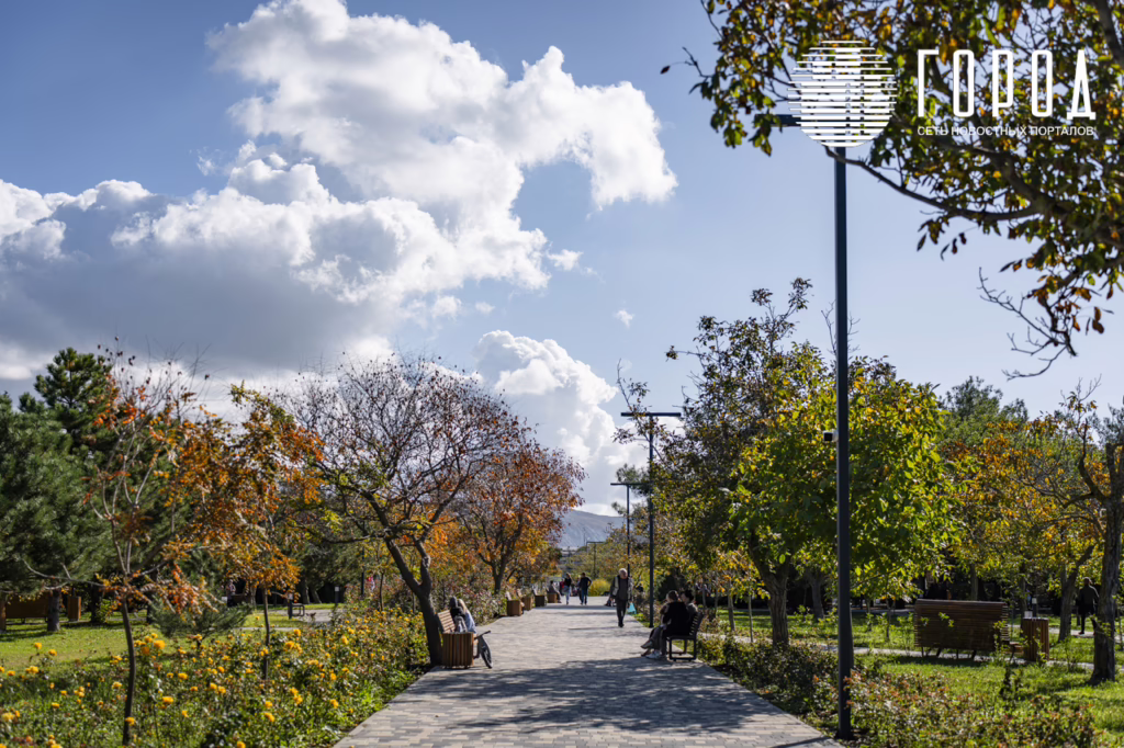 «Ореховая роща», октябрь 2025 года