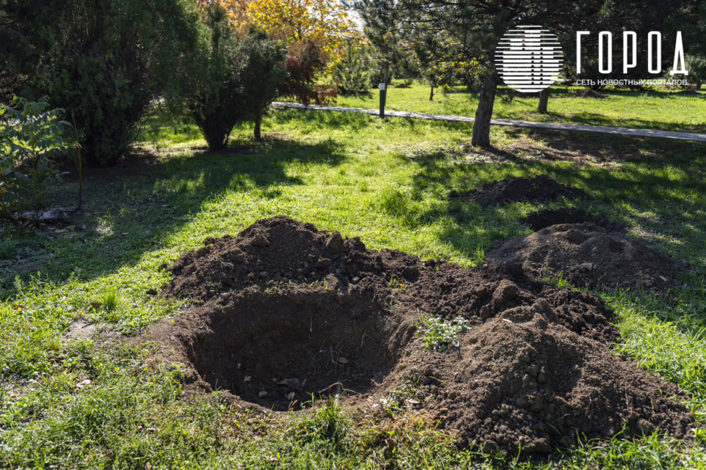 «Ореховая роща», октябрь 2025 года