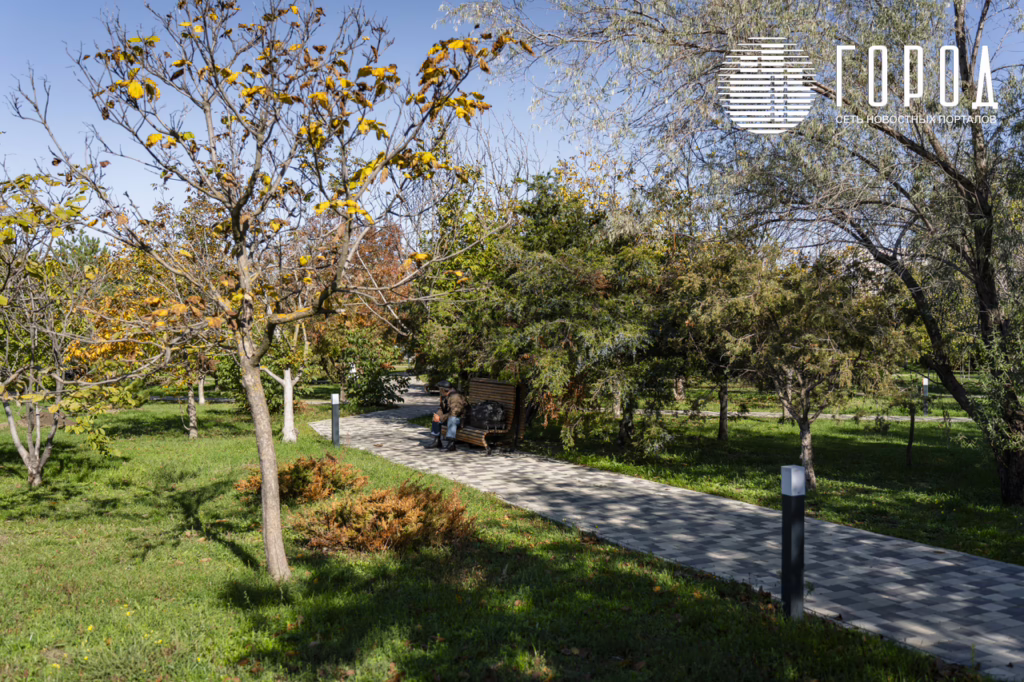 «Ореховая роща», октябрь 2025 года