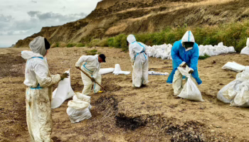 На побережье Анапы нашли новые выбросы мазута