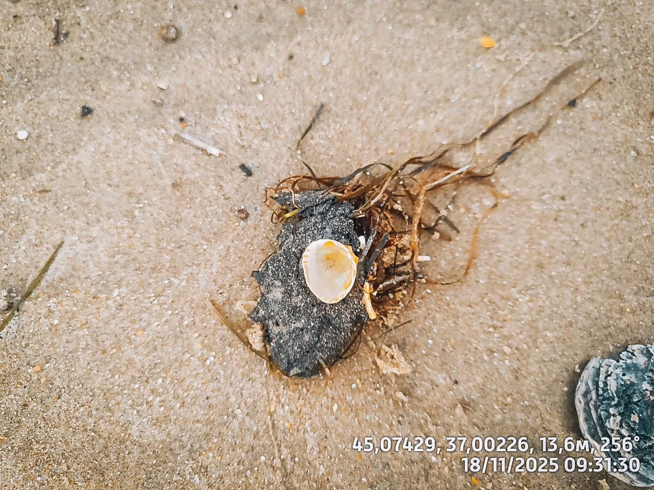 Мазут на пляжах Анапы