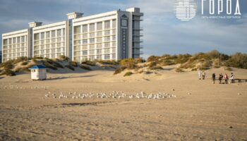 plyazh-era-anapa-kak-gotovyatsya-k-vybrosam-mazuta-i-zhdut-ekokatastrofy-16-1024x682