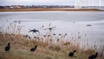 Природа Анапы