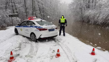 Инспектор ДПС