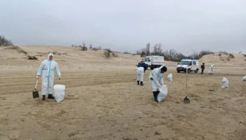 Уборка пляжей