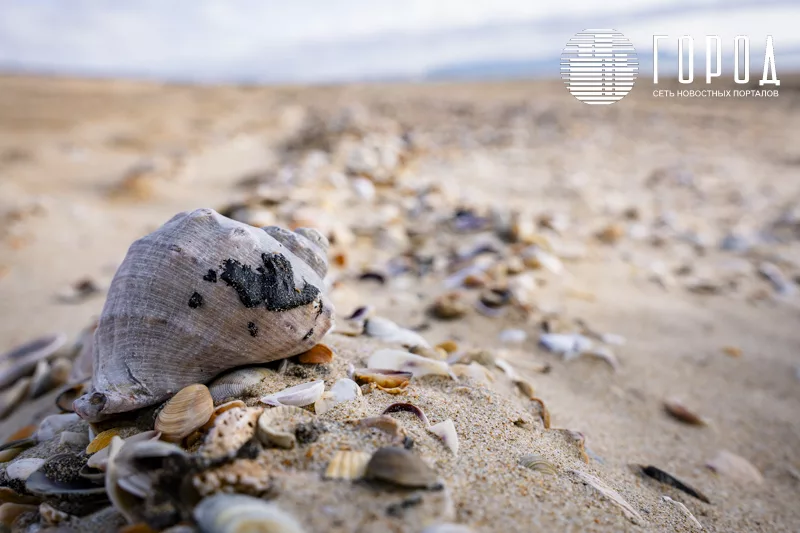 Пляжи Анапы не откроют к купальному сезону