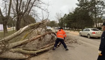 Последствия непогоды