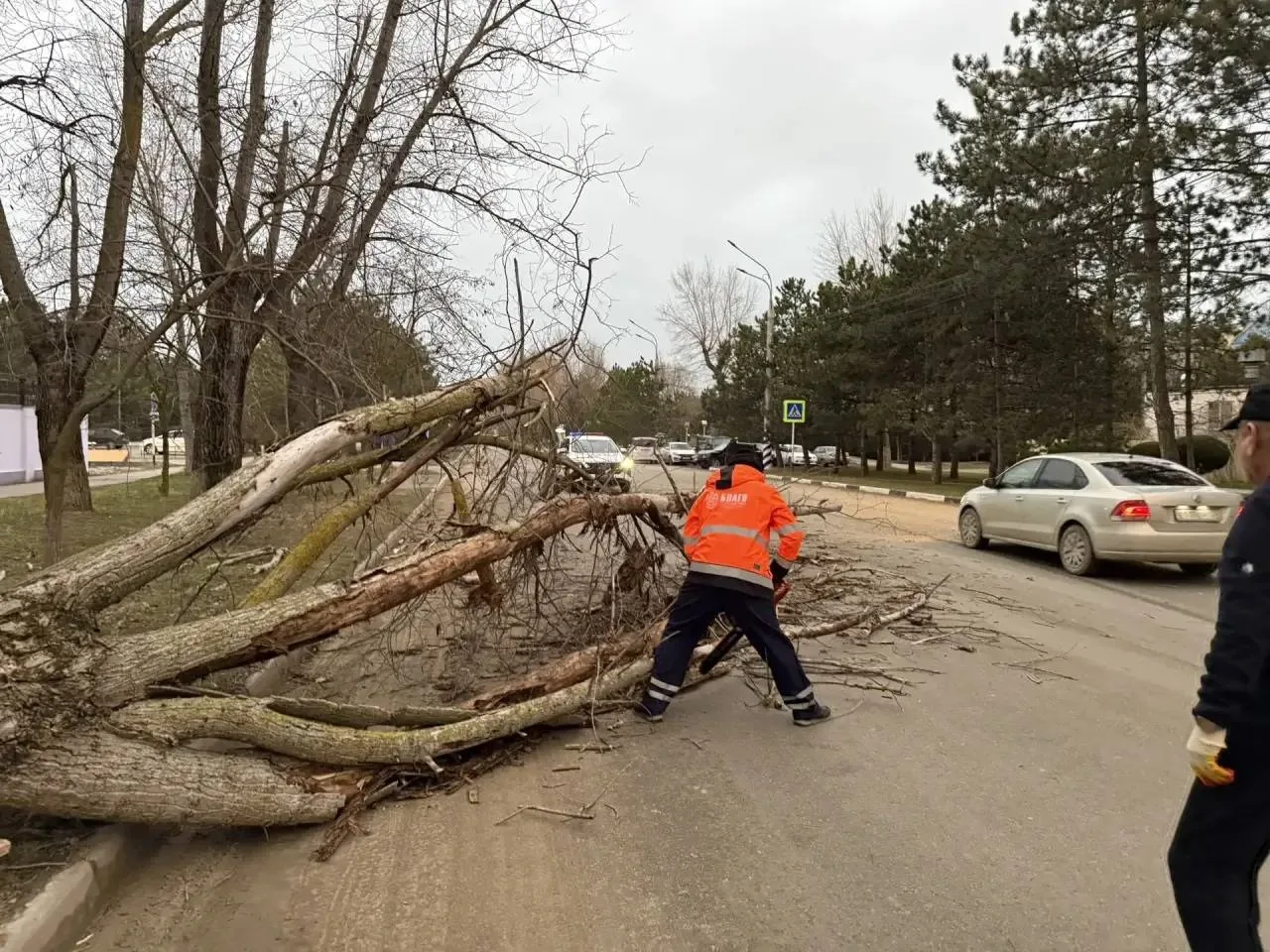 Последствия непогоды