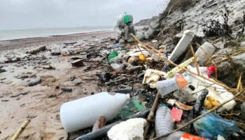 Мусор в Анапе