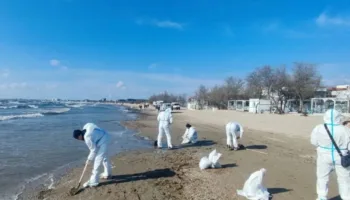 Уборка нефтепродуктов