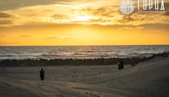 завозной песок пляжи анапы
