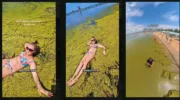 водоросли в Анапе