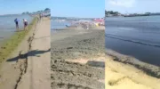 водоросли