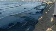камка