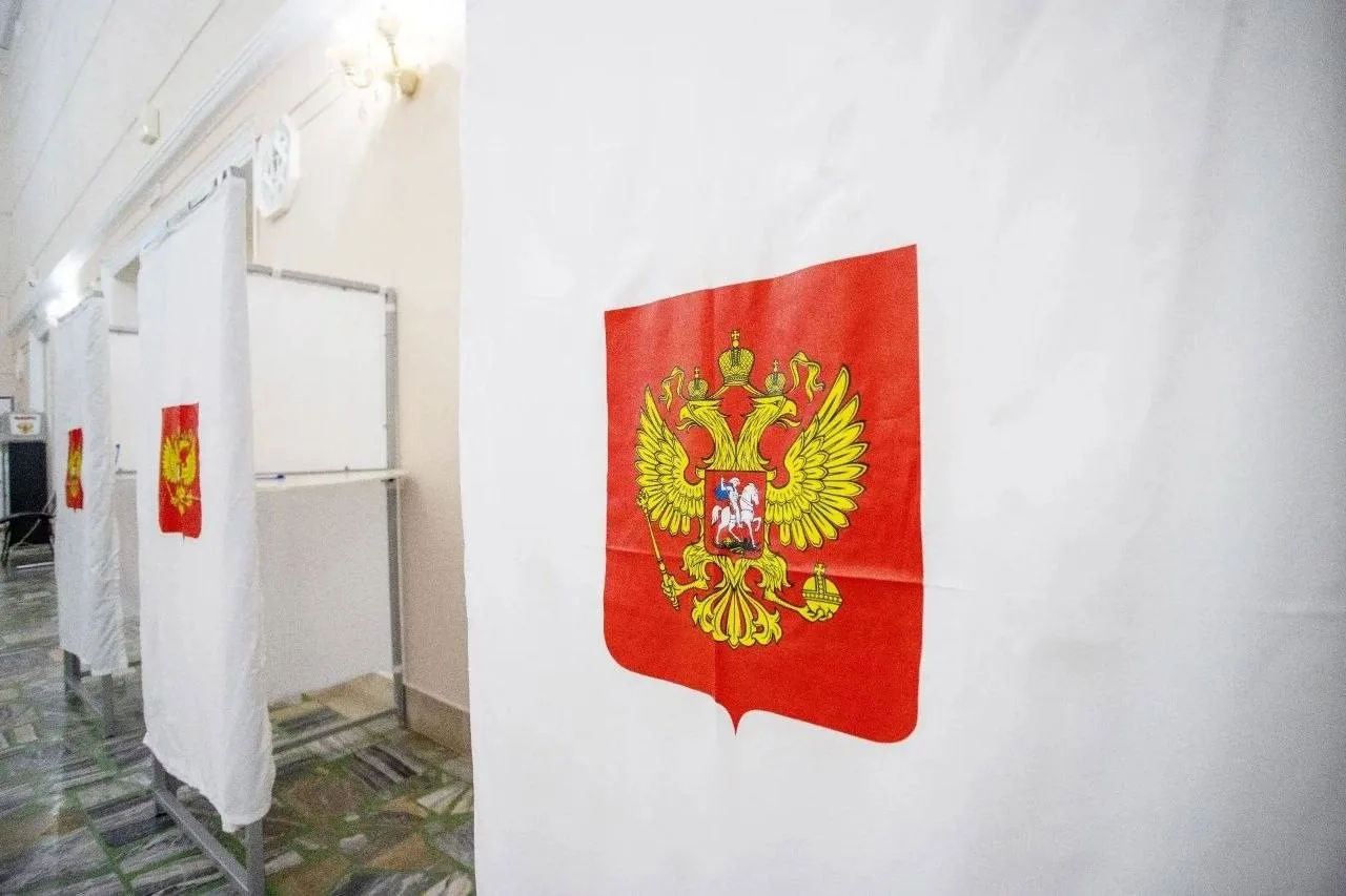 выборы