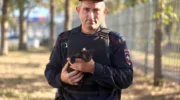 котенок